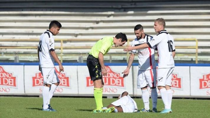 Salernitana-Nocerina, deferiti 17 molossi - immagine 1