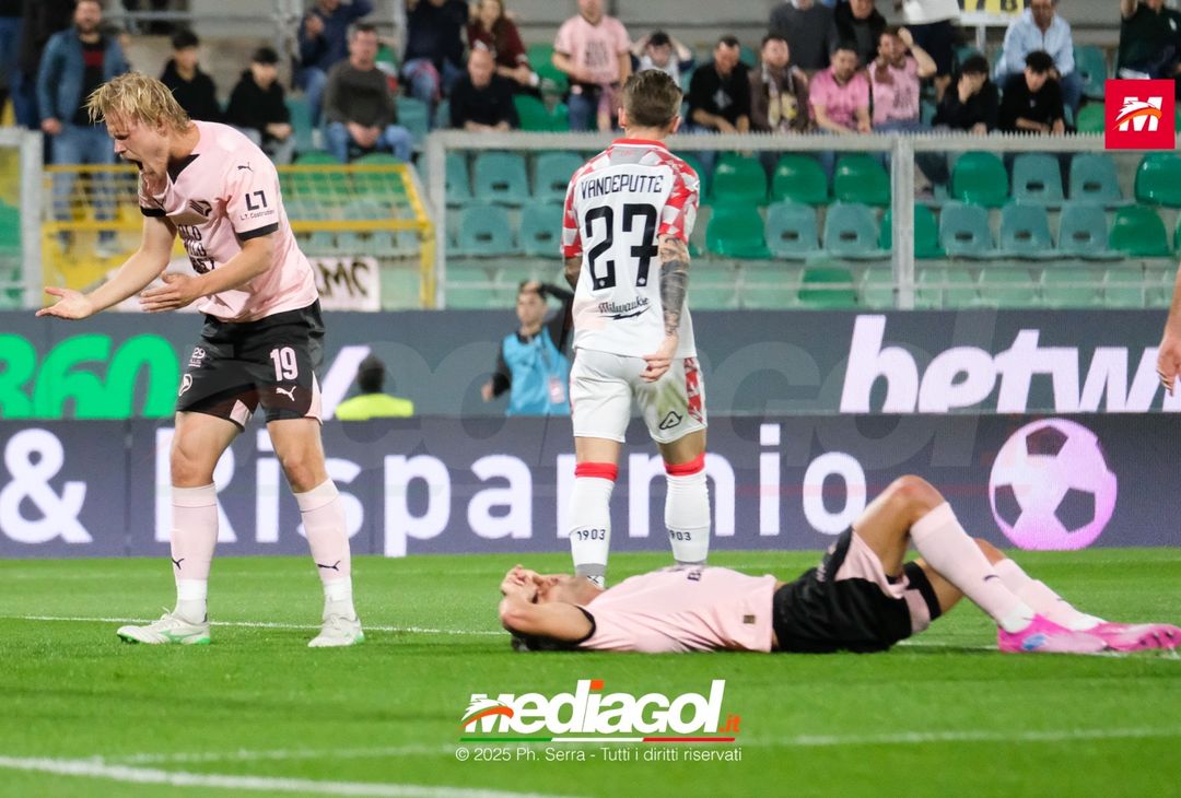 FOTO Palermo – Cremonese 2-3 | Serie B 2024/25 - immagine 19