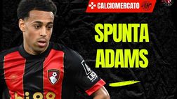Calciomercato Milan, Tyler Adams se non arriva Jashari? Ecco la richiesta