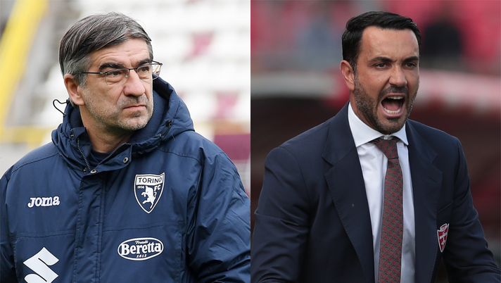 Torino-Monza, Juric contro Palladino: gli allievi di Gasperini a confronto - immagine 1