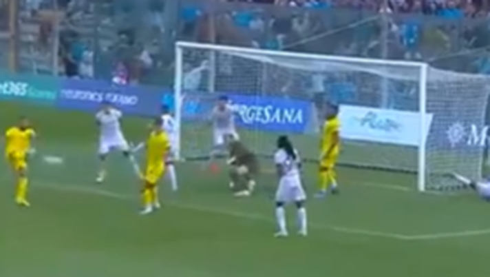 stuani napoli girona