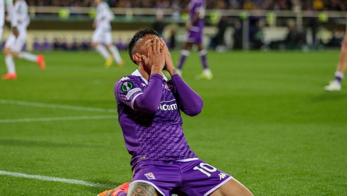 Belotti, Nico, Beltran, Jack e Nzola: la logica delle assenze in casa viola - immagine 1