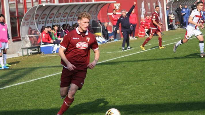 Siniega Torino Primavera