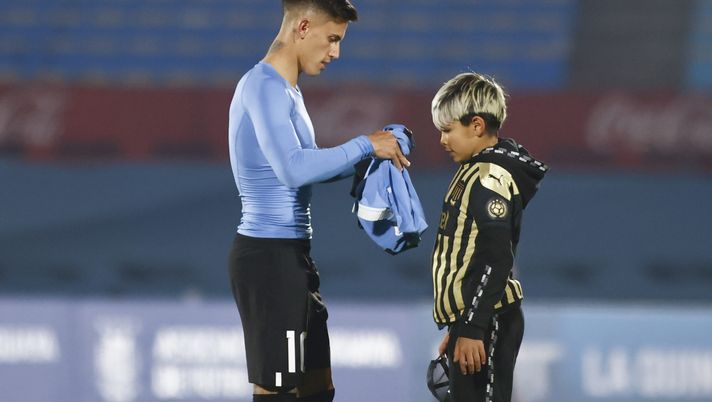 Brian Rodriguez, l’identikit al contrario del giocatore chiesto da Italiano - immagine 1