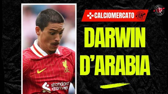 Il Milan è tra i club interessati a Darwin Nunez, attaccante del Liverpool | Calciomercato AC Milan News (Getty Images) Calciomercato Milan, Pedullà: 'Settimana chiave per Núñez all'Al-Hilal'