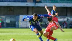 Verona verso il Lecce, oggi il via agli allenamenti