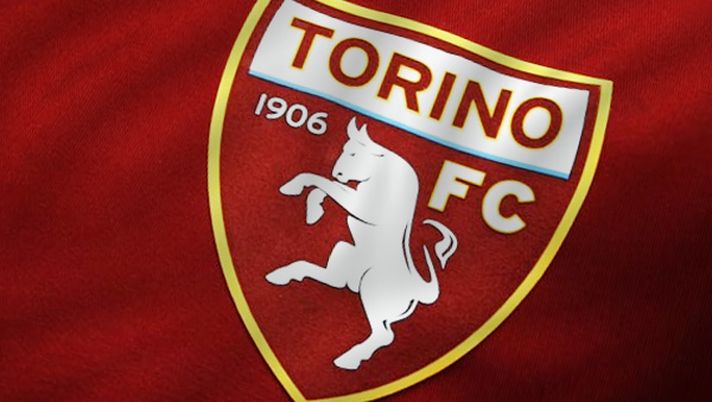 Il Toro furioso: storia e significato dello stemma - immagine 1