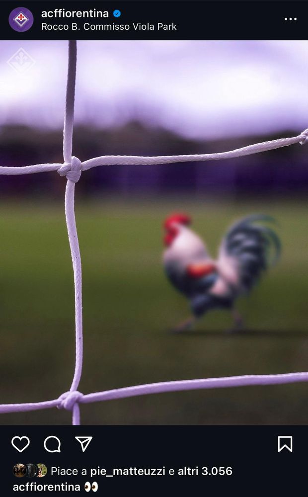 FOTO – Ecco l’indizio social per l’arrivo del “Gallo” Belotti- immagine 2