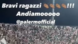 VIDEO, anche Amauri esulta dopo Palermo-Sampdoria: “Bravi ragazzi!”