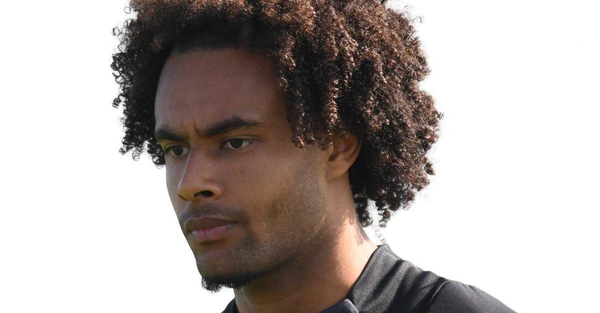 Roma e Milan di nuovo sulle tracce di Zirkzee. Calamai: “Farebbe più comodo a …” Roma e Milan di nuovo sulle tracce di Zirkzee. Calamai: “Farebbe più comodo a …”