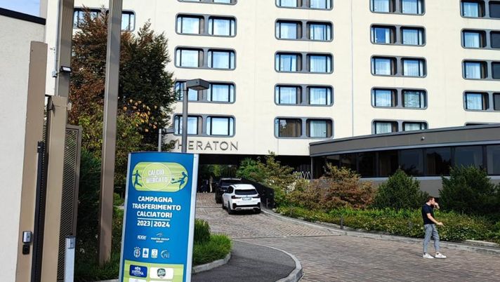 Calciomercato Torino: Zapata ufficiale, Pellegri rimane. Finisce così - immagine 1