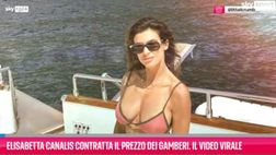 VIDEO/ Elisabetta Canalis contratta il prezzo dei gamberi