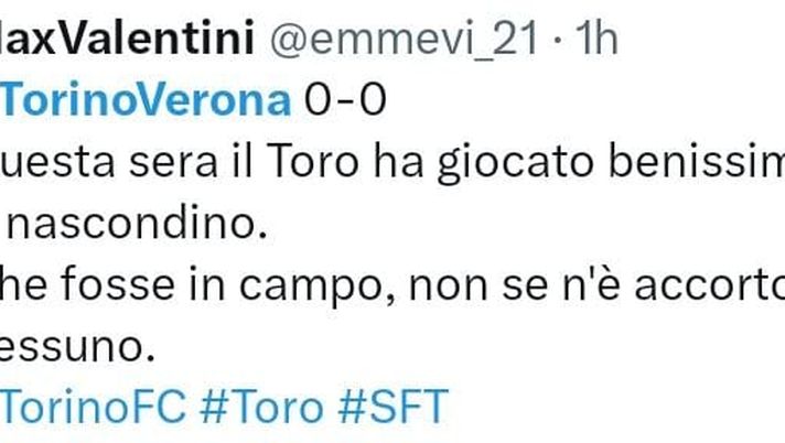 Torino-Verona 0-0, le reazioni social: “I granata non sono scesi in campo” - immagine 1