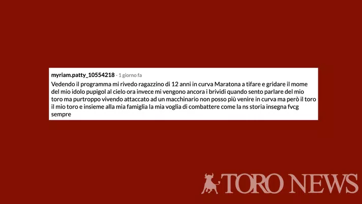 Dedicato a un tifoso del Toro - immagine 1