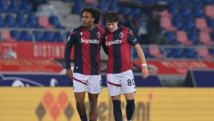 Fiorentina-Bologna, probabili formazioni: Beltrán titolare, Motta con Zirkzee  Fiorentina Bologna