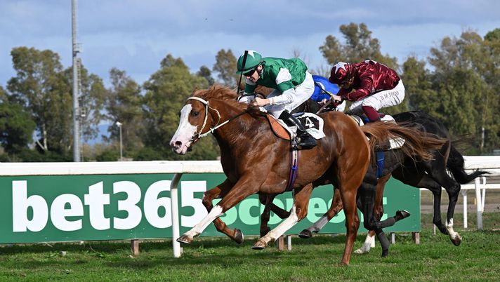 attesa-milan-roma-delusione-per-max-allegri-nel-roma-champions-day-allippodromo-capannelle