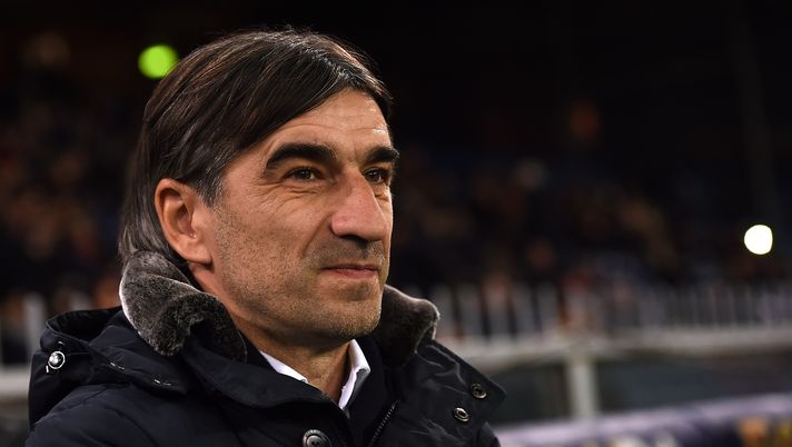 Torino-Genoa, Juric: “Col Palermo male negli ultimi minuti. Toro temibile in casa” - immagine 1