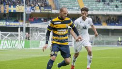 Luppi: “Serie A? Dobbiamo prima battere noi stessi”