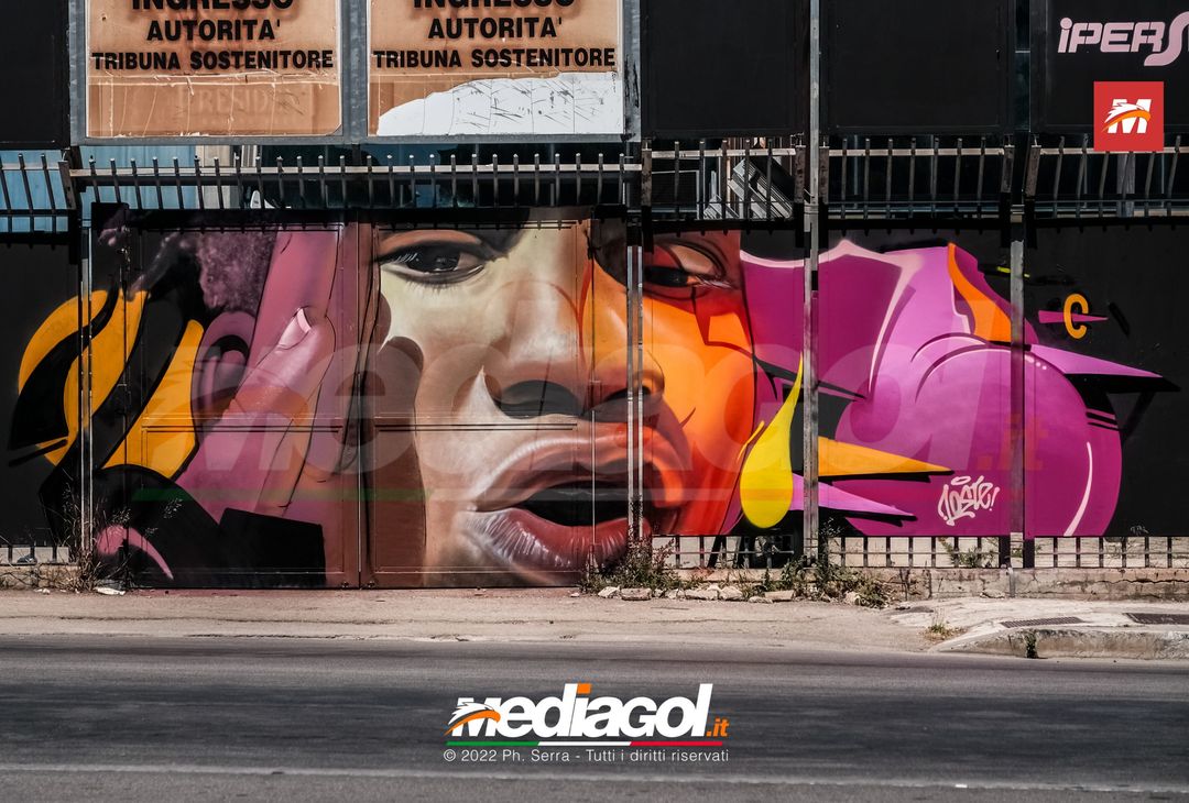 FOTO: I nuovi murales dello stadio ‘Renzo Barbera’ di Palermo (Gallery) - immagine 8