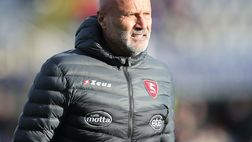 Milan-Salernitana, Colantuono in emergenza totale: saranno dodici gli assenti