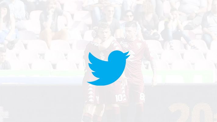 Il Torino in un cinguettio: Toro News è anche su Twitter! - immagine 1