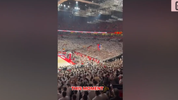 Video – L’impressionante muro di tifosi della Stella Rossa