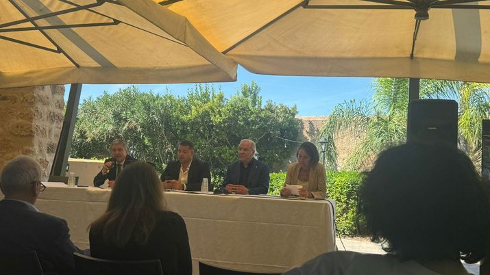 Palermo, l’ass. Anello: “30 milioni per avere un Barbera da Champions” - immagine 1