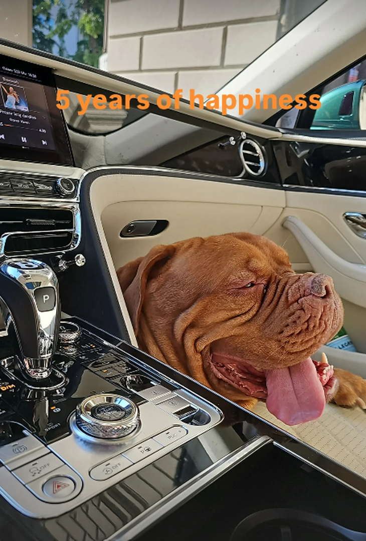 Il cane di Milinkovic-Savic compie cinque ann