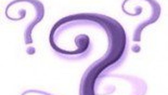 Stasera l’esordio su Violanews di un grande opinionista - immagine 1