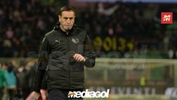Calciomercato Palermo, chances Serie A e bivio gennaio: strategia e mosse club rosa