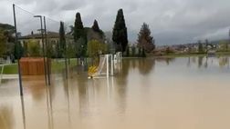 VIDEO – Diluvio anche sul Viola Park. Un campo totalmente allagato