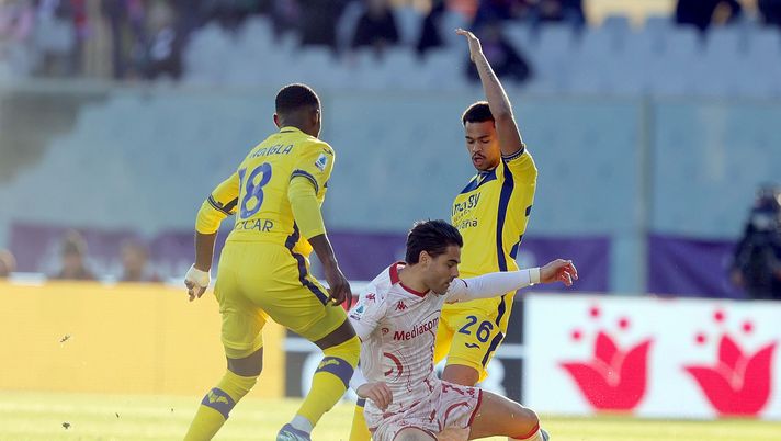 Da Verona: “Il miglior Verona dell’anno a Firenze. Sconfitta immeritata” - immagine 1