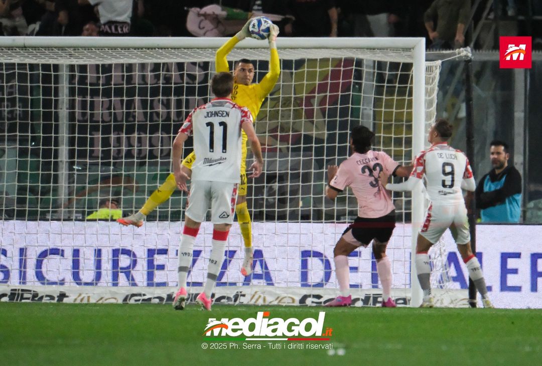 FOTO Palermo – Cremonese 2-3 | Serie B 2024/25 - immagine 20