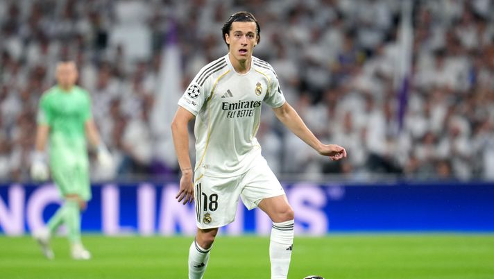 Alvaro Carreras Napoli