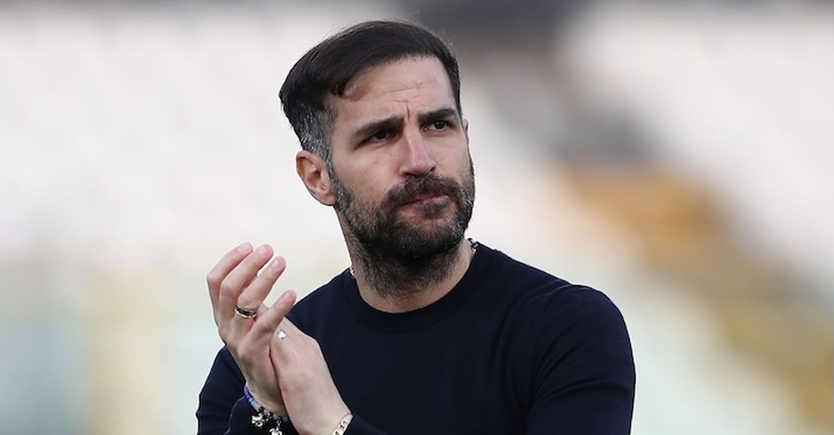 Como, Fabregas: "Buone risposte dalla squadra. Nico Paz fuori all'inizio? Scelta di cultura"