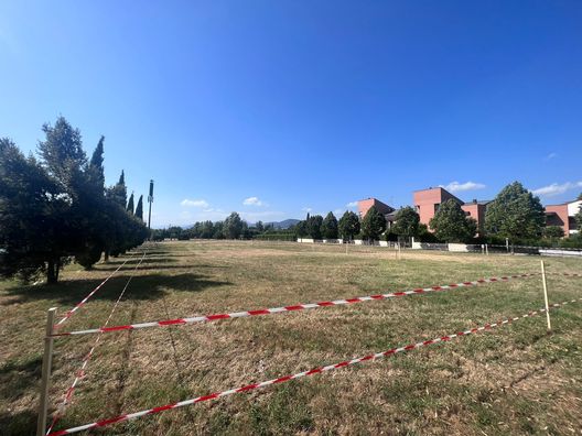 Viola Park, pronti i parcheggi in Via Granacci. Le FOTO dell’area- immagine 2