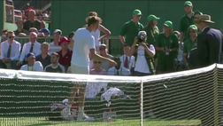 Wimbledon, Medvedev impazzisce: tira monetine al giudice!