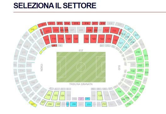 Il Torino torna a giocare in casa: previsto sostegno alla squadra- immagine 2