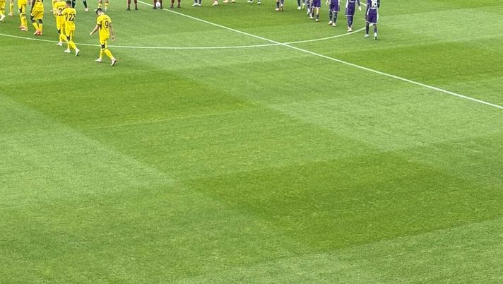 Ferrari e Angeloni Fiorentina