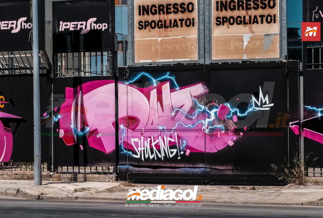 FOTO: I nuovi murales dello stadio ‘Renzo Barbera’ di Palermo (Gallery) - immagine 7