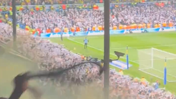 Bolgia infernale a Elland Road: tifosi in festa spingono il Leeds in finale playoff