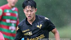 Livorno-Verona, le formazioni ufficiali