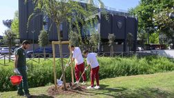 Roma, Earth Day 2025: piantati nuovi alberi a Trigoria
