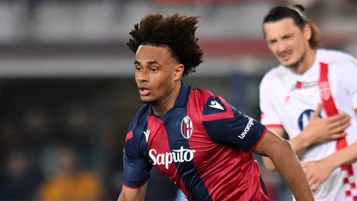 DAI CAMPI – Lukaku, Zirkzee, Vitinha, Schuurs, Harroui, torna Petagna e gli esami di Cerri - immagine 1