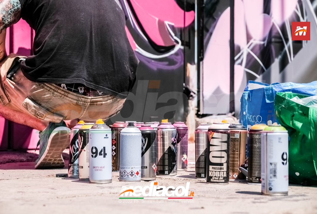 FOTO: I nuovi murales dello stadio ‘Renzo Barbera’ di Palermo (Gallery) - immagine 21