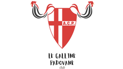 Tifosi, il comunicato delle Galline Padovane: “Non è il momento delle divisioni ora”