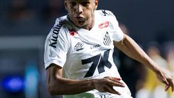 Calciomercato: perso Arizala, il Milan vira su Souza. Prima offerta al Santos: le ultime news