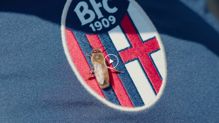 Il Bologna inaugura un apiario a sostegno della biodiversità- immagine 1