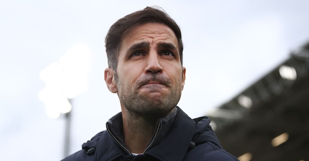 Como, Fabregas: “Contro il Torino abbiamo fatto un partitone in ogni fase di gioco”