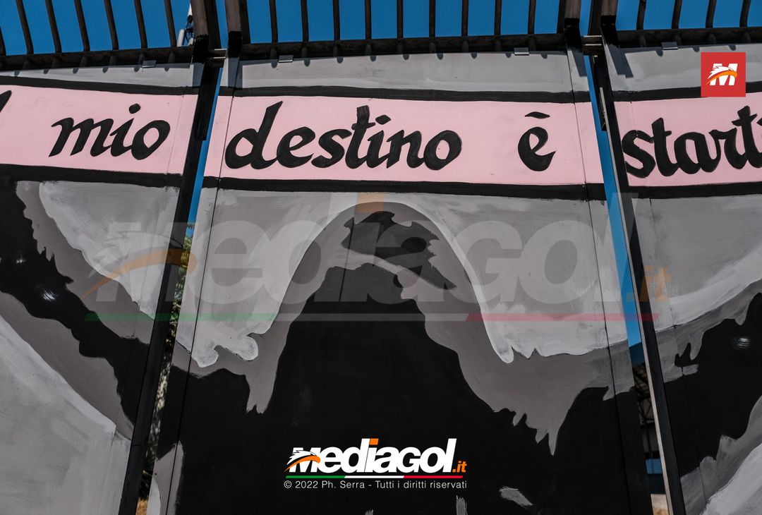 FOTO: I nuovi murales dello stadio ‘Renzo Barbera’ di Palermo (Gallery) - immagine 28